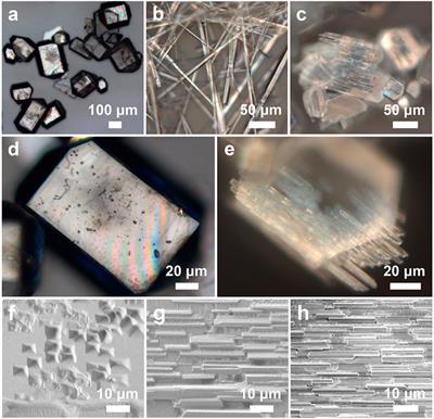 A non-classical synthetic strategy for organic mesocrystals